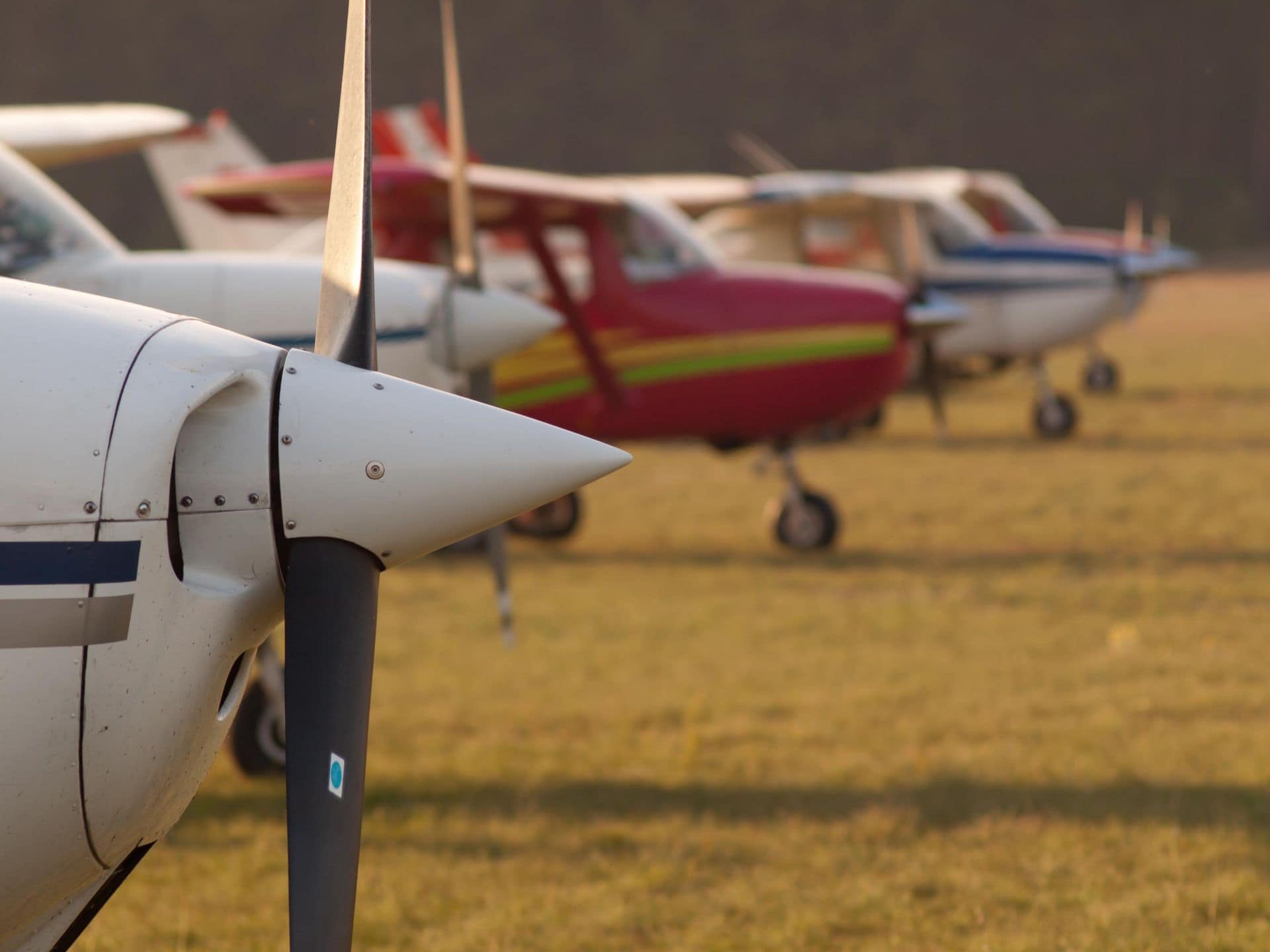 Row of general-aviation airplanes parked on grass in warm golden-hour light